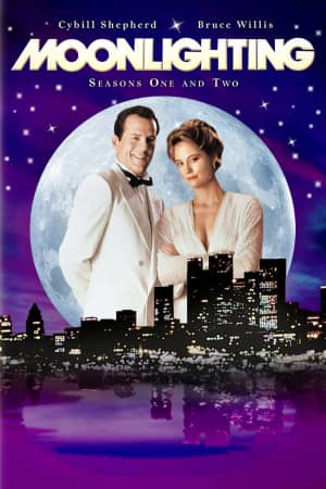 Детективное агентство «Лунный свет»