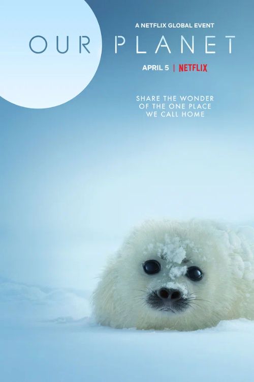 Сериал Наша планета (2019-2023)